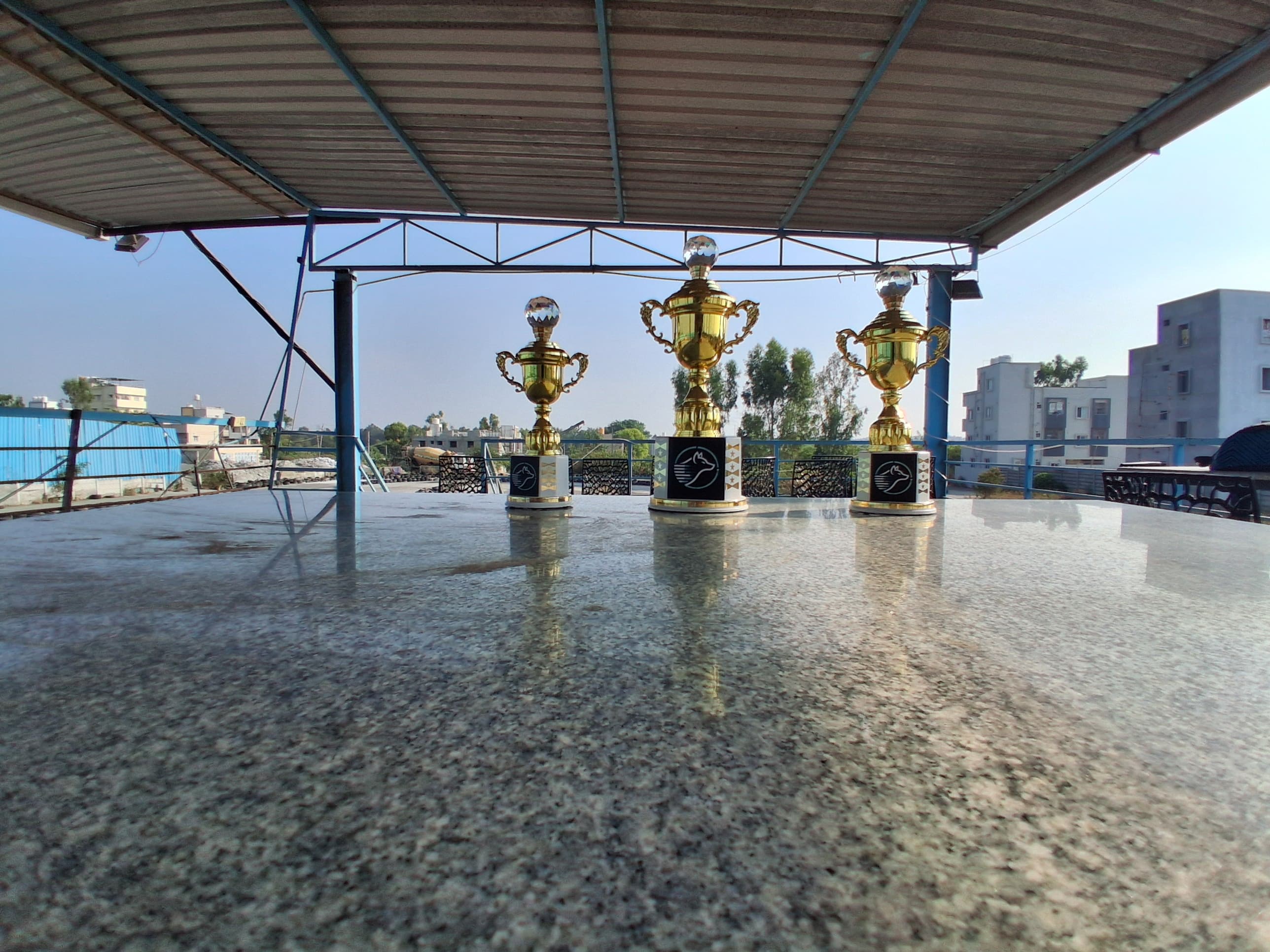 Summer Camp – Trophies and prizes